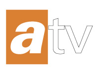 atv Mikrofon Süngeri Başlığı